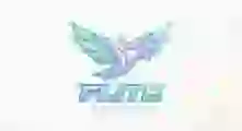 fliteesports